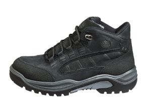 Afbeelding - 7903936-jpg